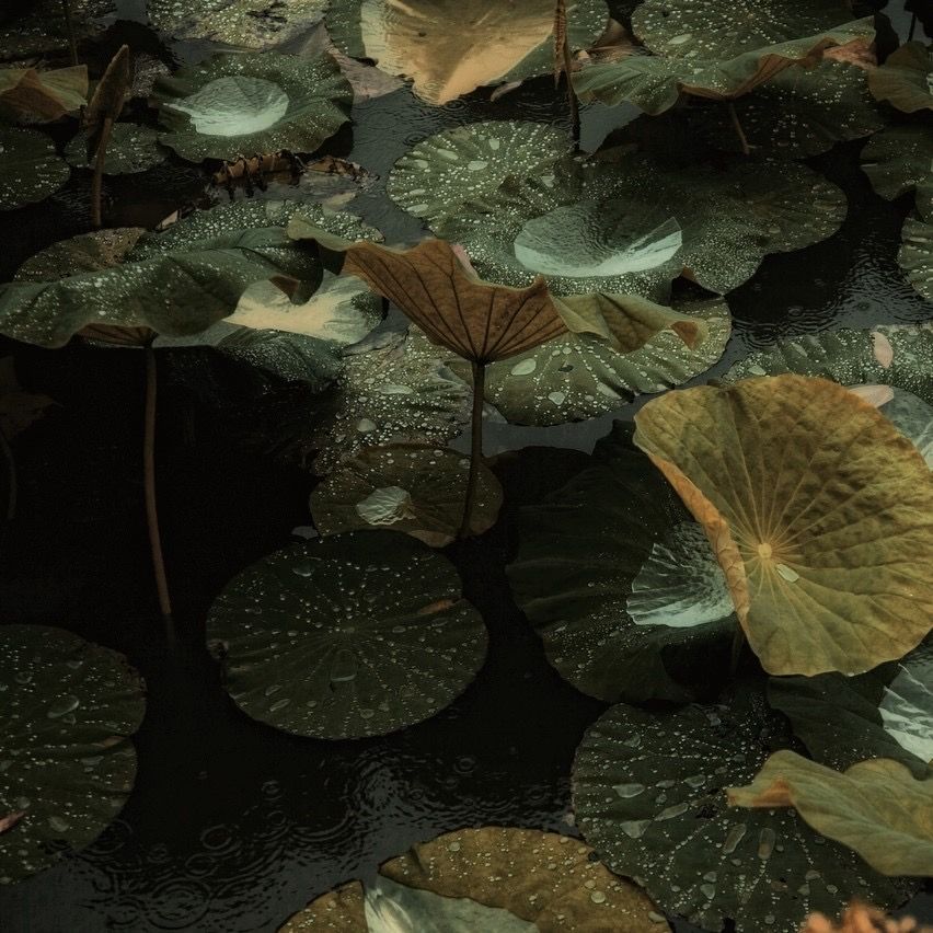 0cbc42eabab93a2a84f6a907094d18d2e27c1093