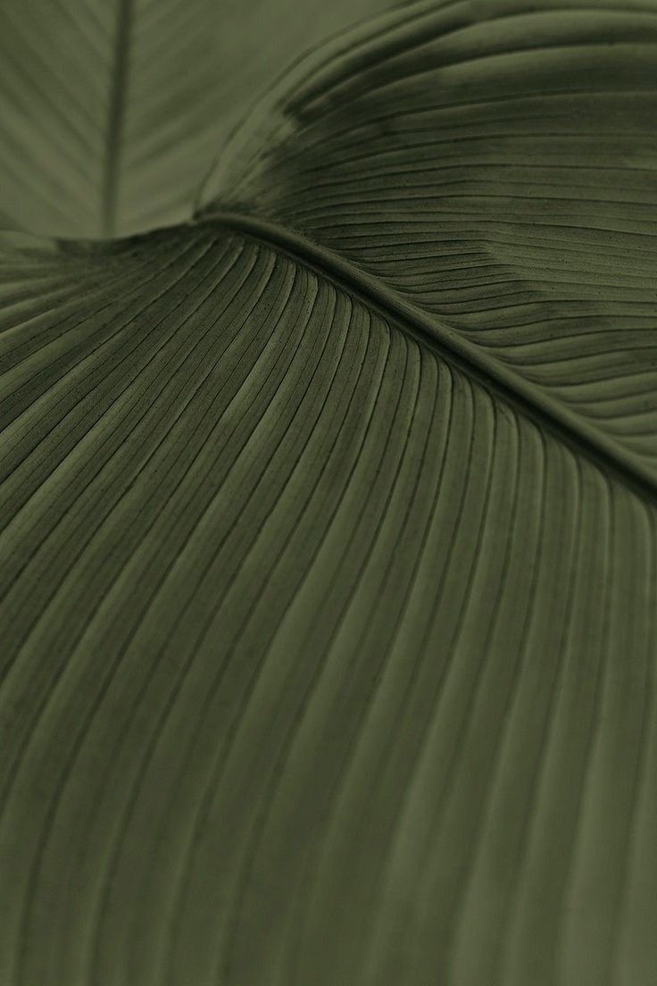 15de1d003e5dd6c66ba362a8497129cb45160717