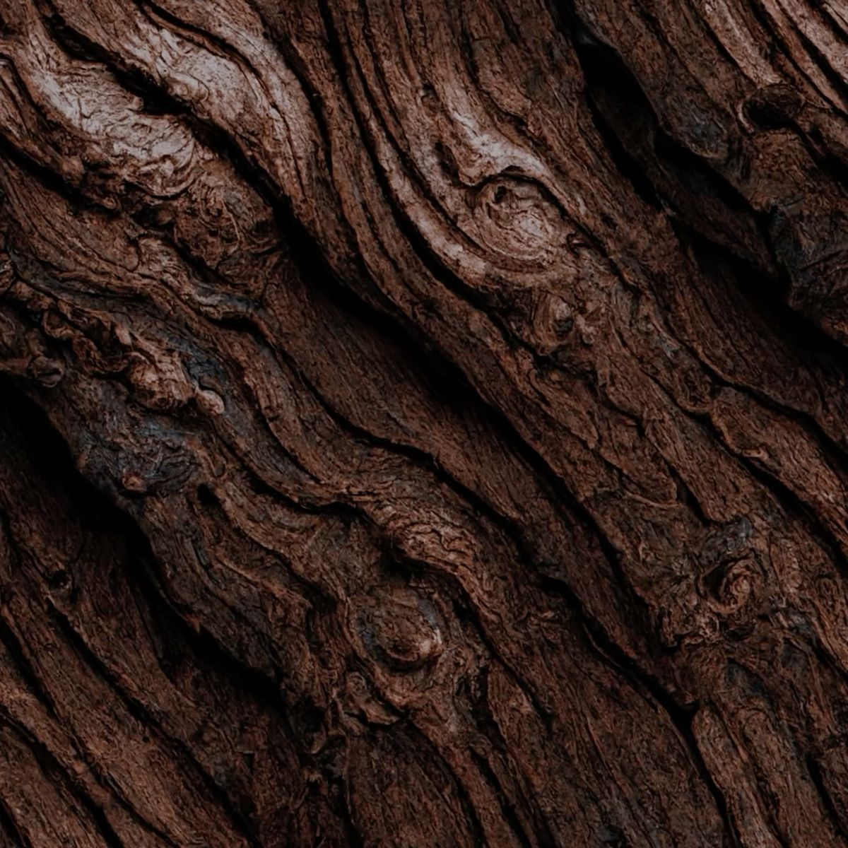 6209794d147701cae1bbd2ed1fd1a523b7b899fc